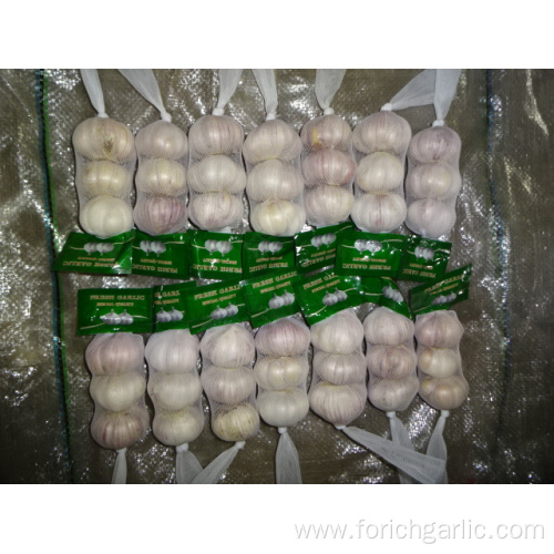 Crop 2019 Fresh Normal White Garlic